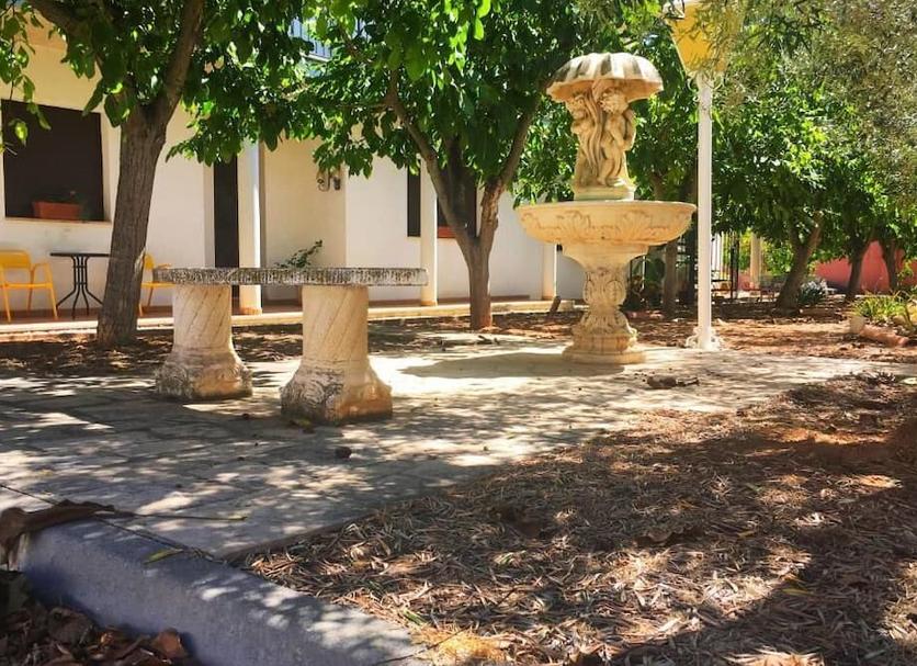 Other Photo
