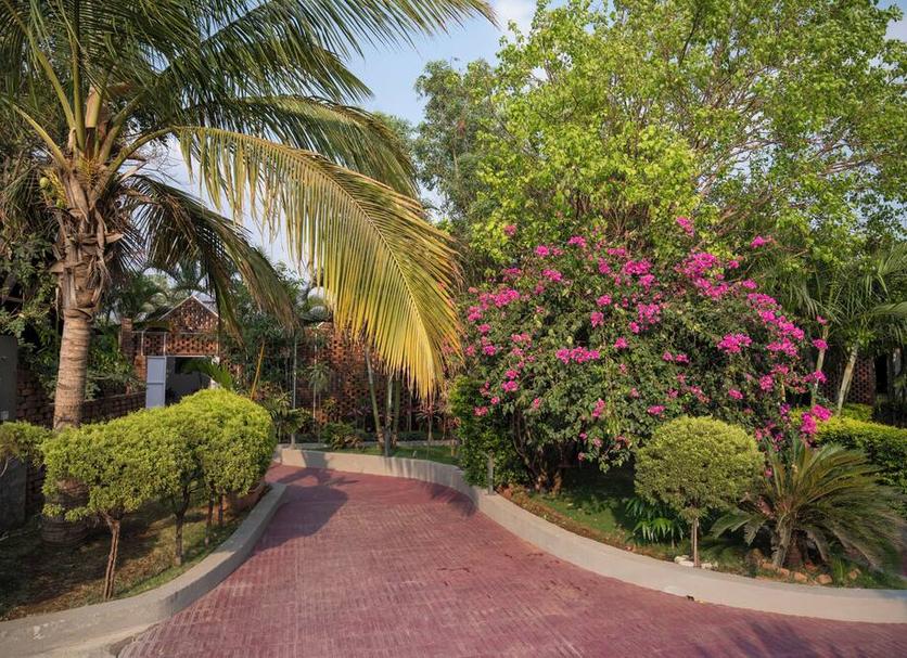 Outdoors view Photo