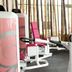 Caro Horoscop Hotel Bucharest gym with pink exercise machines and bamboo decor
