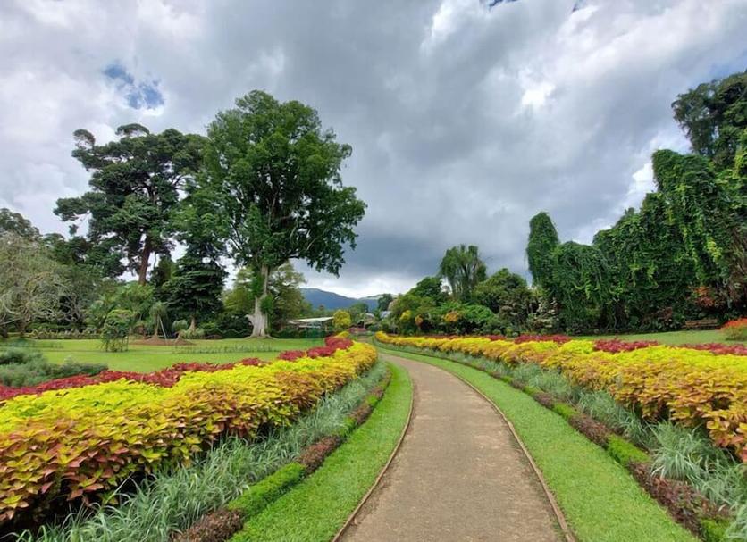 Outdoors view Photo
