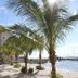 Princess Bayside Beach Hotel in Ocean City with palm-lined beach walkway and ocean pier view