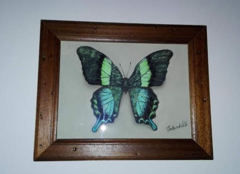 Room amenity Photo
