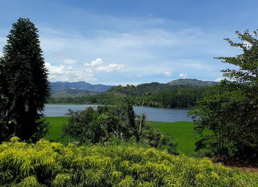 Outdoors view Photo