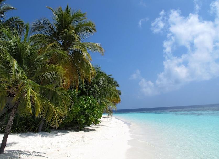 Beach Photo