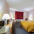 Quality Inn Rosebud Casino in Mission guest room with king bed, red curtains, and bedside lamps