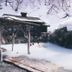 Onsen Yupopo in Semboku with a snowy outdoor hot spring bath and rustic wooden shelter