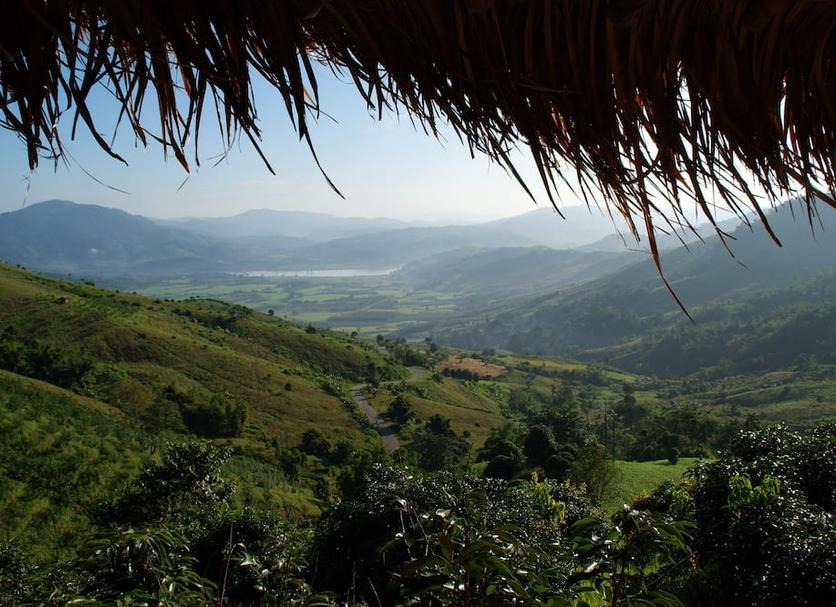 Outdoors view Photo