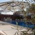 Aparthotel Fleming 50 - Adults Only poolside loungers and umbrellas in Sant Antoni de Portmany