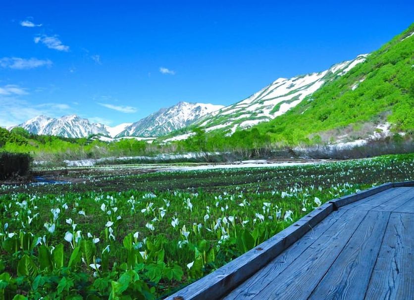 Resort Inn Marion Shinano in Hakuba with mountain views and a wooden deck overlooking a green wetland