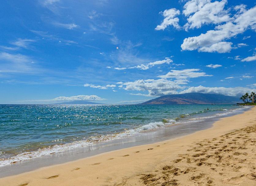 Beach Photo