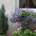 Outdoors view