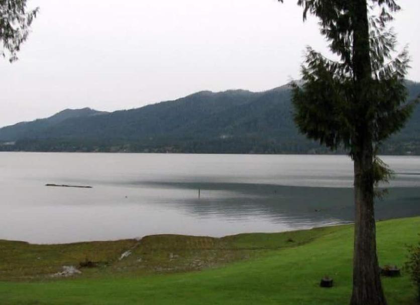 Other Photo