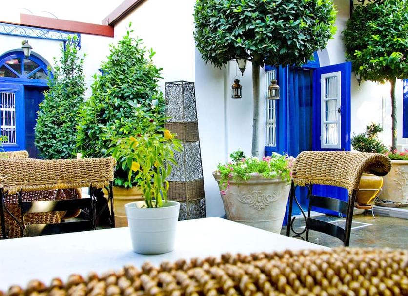 Patio Photo