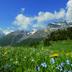 Outdoors view