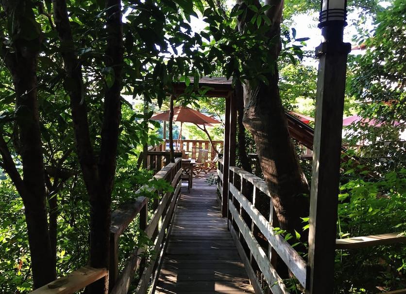 Outdoors view Photo