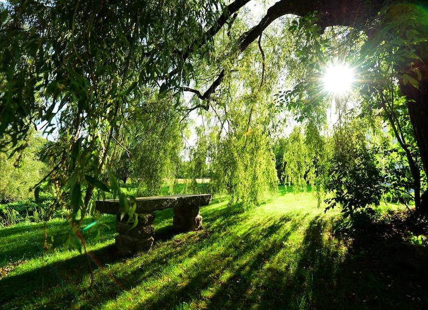 Outdoors view Photo