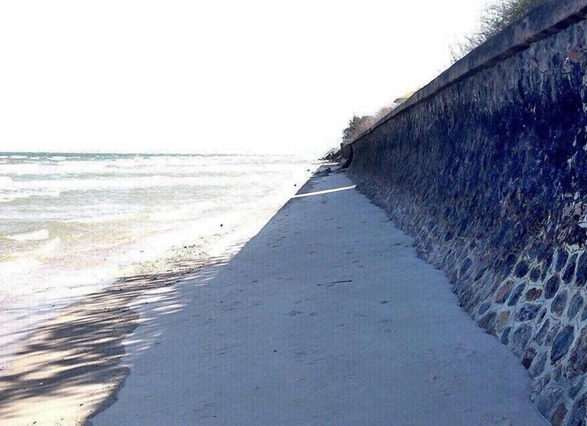 Beach Photo