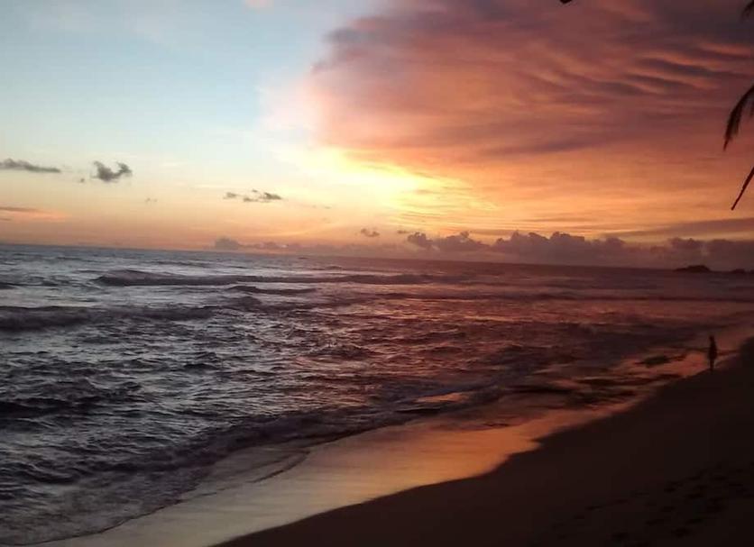 Beach Photo