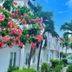 Volga Apartment Hotel in Mũi Né with white villas, palm trees and pink flowering shrubs under a blue sky