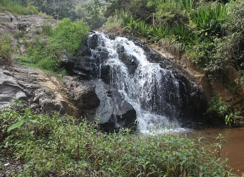 Other Photo