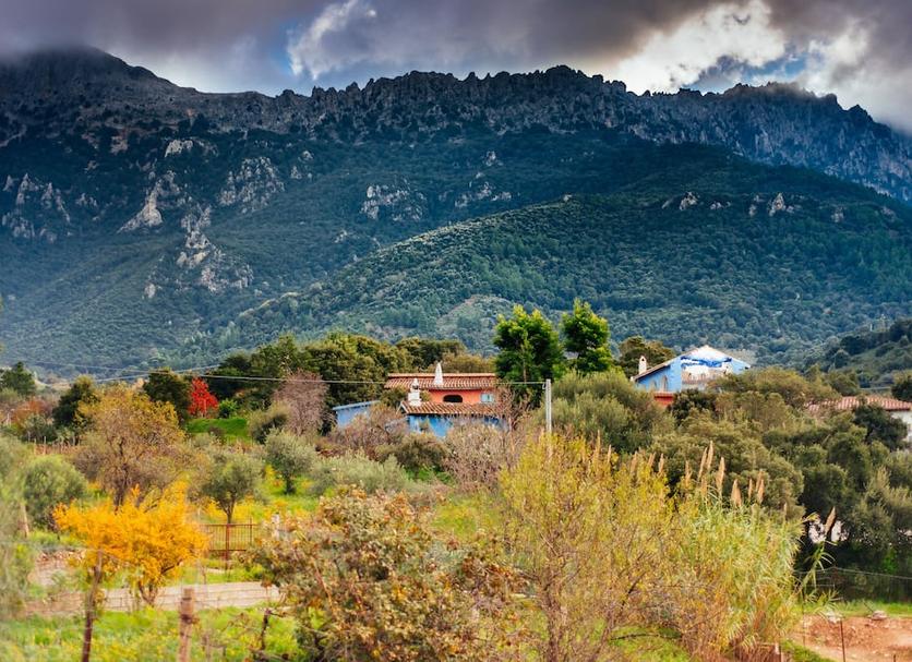Outdoors view Photo