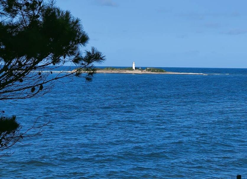 Other Photo