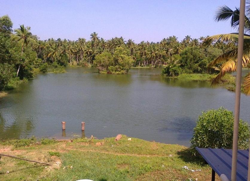 Outdoors view Photo
