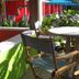 Colony Hotel & Cabana Club in Delray Beach patio seating with round table, chairs and tropical plants