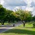 Outdoors view