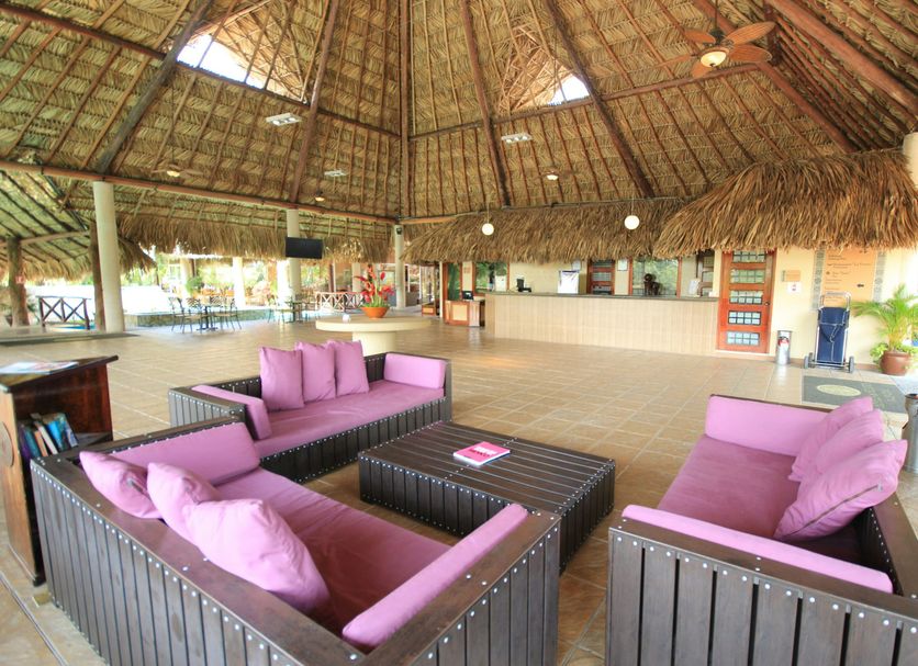 Hotel Villa Mercedes Palenque lobby lounge with thatched roof and purple seating in Palenque