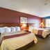 Red Roof Inn Vincennes guest room with two double beds, lamps, and a window sitting area