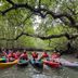 Guests kayak through mangrove waters at Sand & Sandals Desaru Beach Resort & Spa, Bandar Penawar