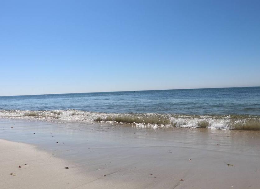 Beach Photo