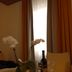 Garni-Hotel Adler, Ostfildern room with table, wine bottle, glasses, orchid and bright window
