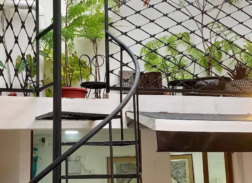 Stairs Photo