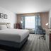 Hilton Garden Inn Tampa-East/Brandon guest room with king bed, desk, chair and window view in Tampa