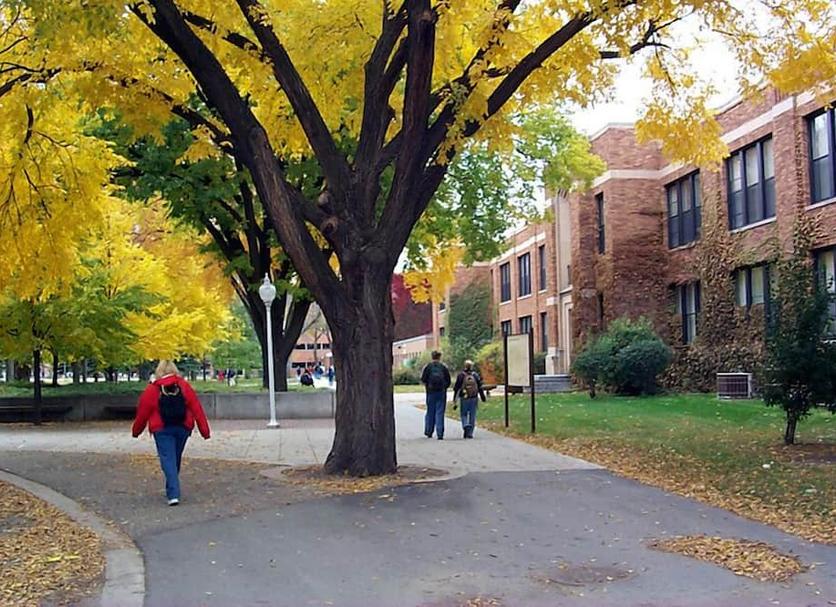 Outdoors view Photo