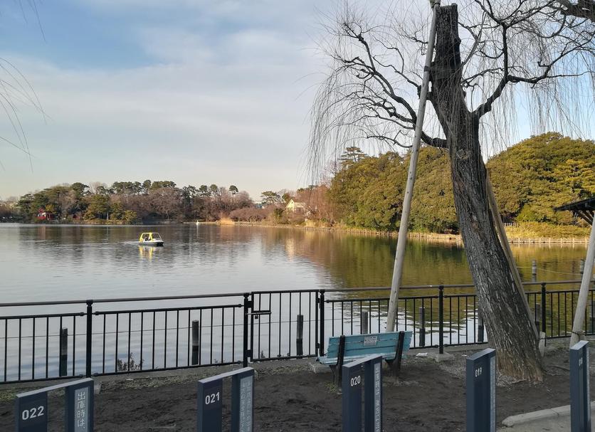 Outdoors view Photo