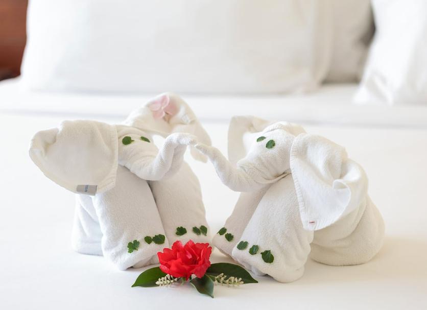Room amenity Photo