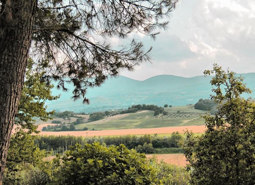 Outdoors view Photo