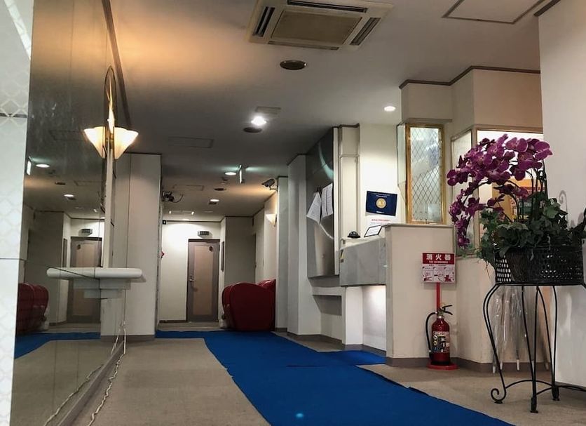 Shinjuku East Hotel, Tokyo lobby hallway with blue carpet, red chairs, mirrored wall and potted orchids