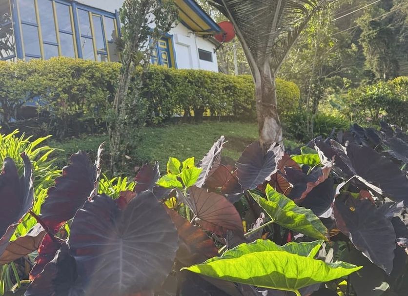 Outdoors view Photo
