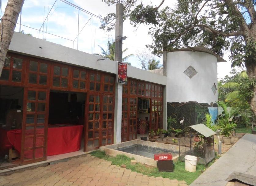 Other Photo