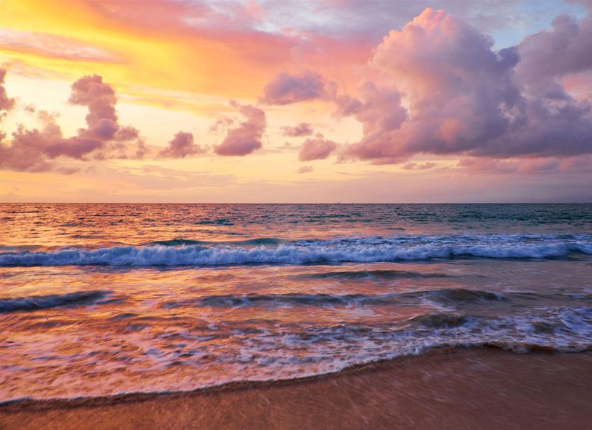 Beach Photo