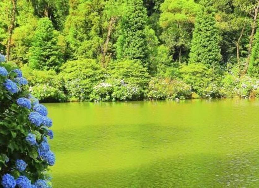 Pousada Vista Do Lago in Gramado with a lush green lake and dense forest view