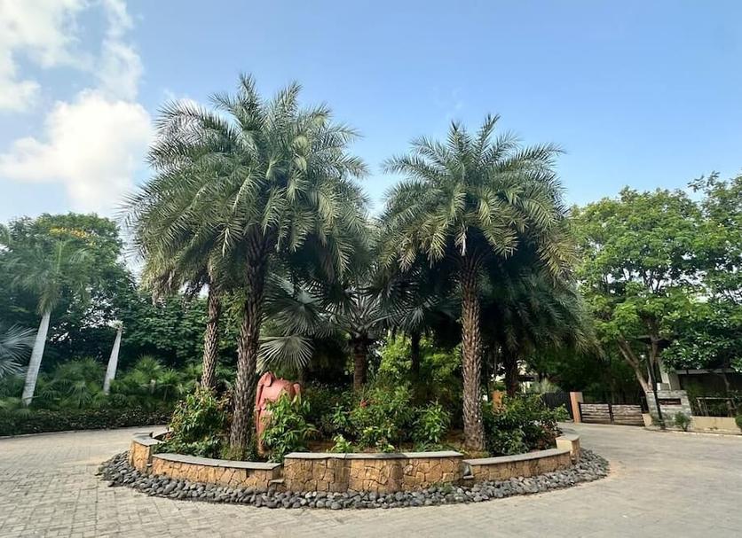 Outdoors view Photo