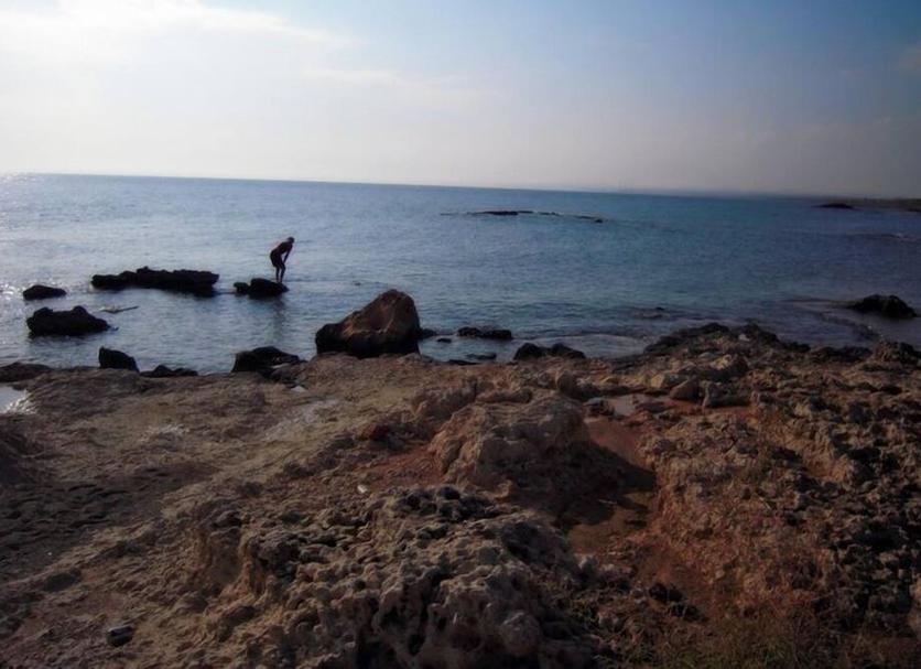 Other Photo