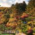 Elysian Gangchon Resort in Chuncheon with autumn forest hillside, garden path, and scenic gazebo