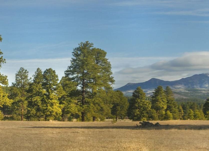 Outdoors view Photo