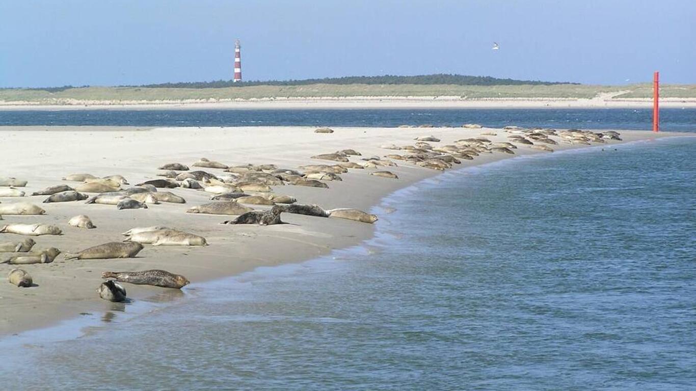 Sier Aan Zee